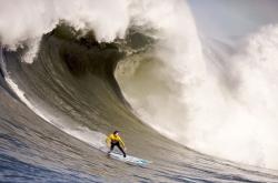 爱游戏体育官网-伊布王者归来，瑞典狂胜墨西哥背后的战术革命与精神密码