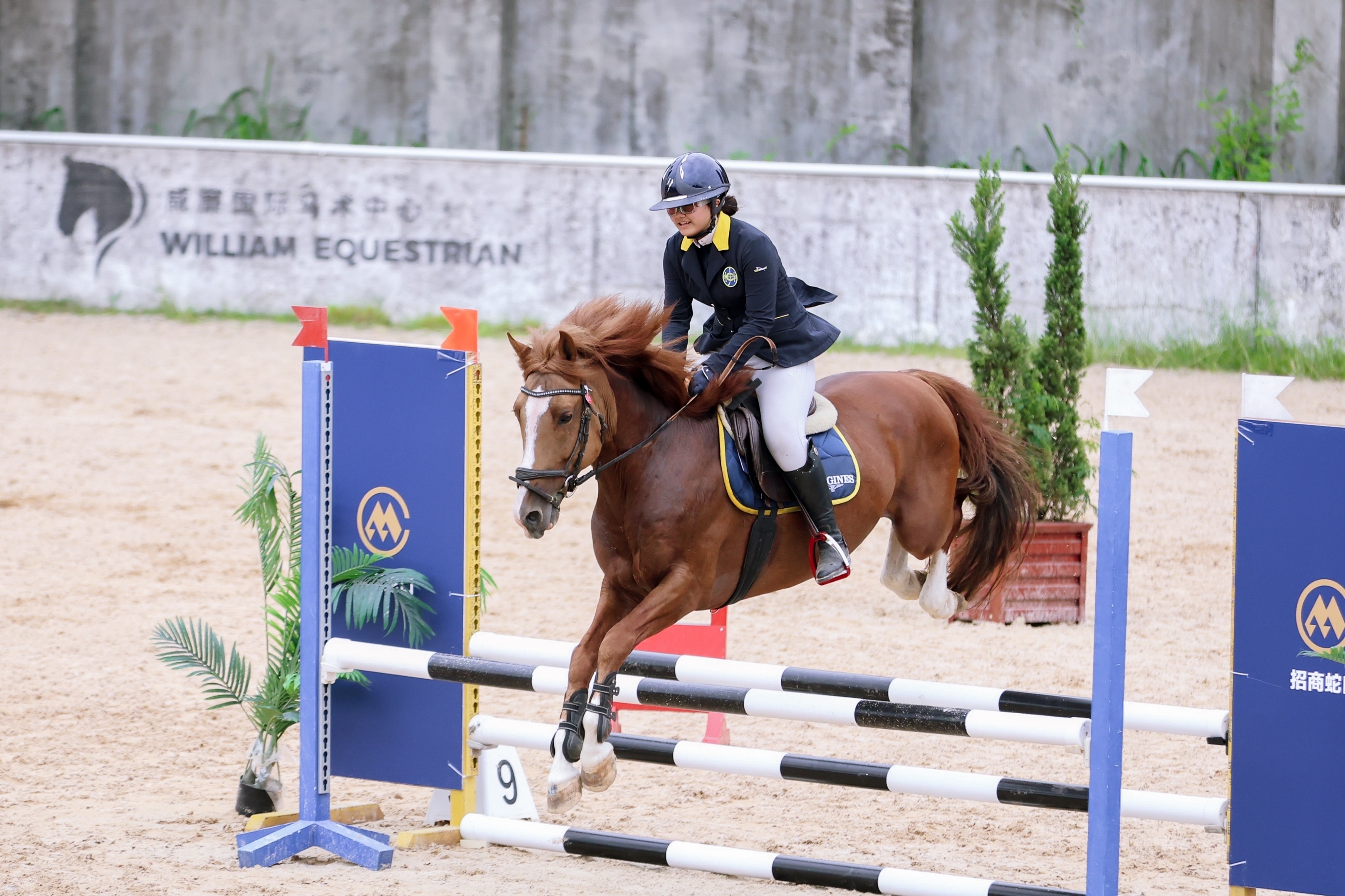 包含切磋技艺!全球选手同场竞技的词条 包含切磋技艺!全球选手同场竞技的词条