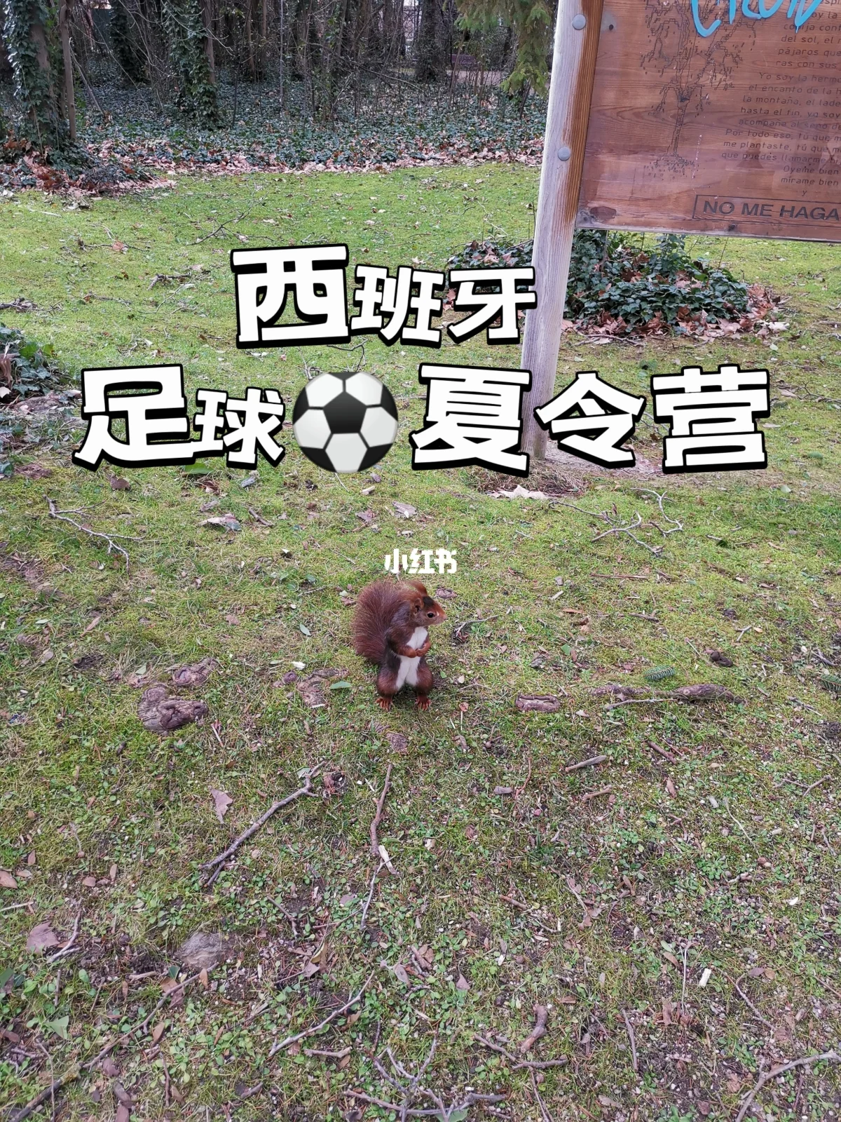 西班牙教练将组织足球夏令营活动 西班牙教练将组织足球夏令营活动