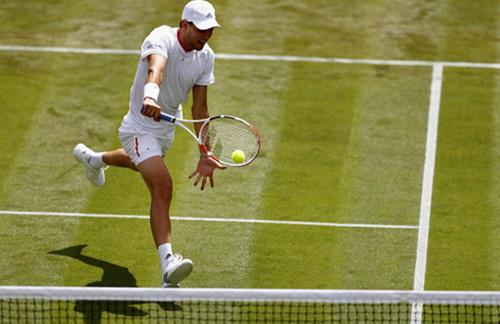 包含温网险胜蒙特卡洛大师赛，蒂姆状态火热的词条