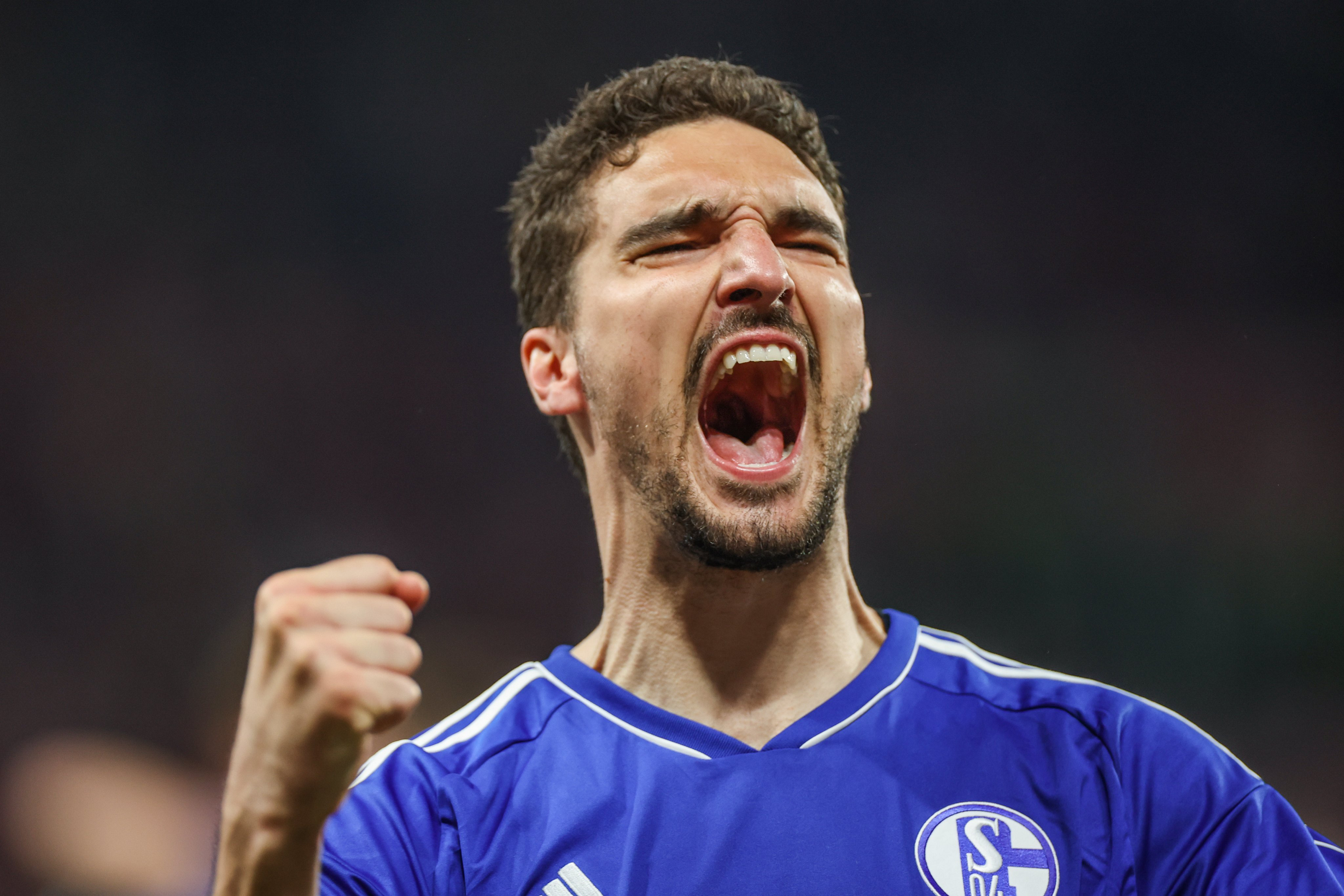 波兰乒乓球队完胜德国乒乓球队，波尔三分雨点燃全场的简单介绍