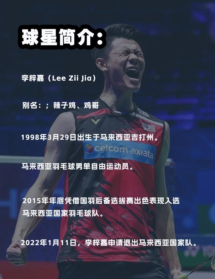 印尼队逆转马来西亚队，李梓嘉高光表现的简单介绍