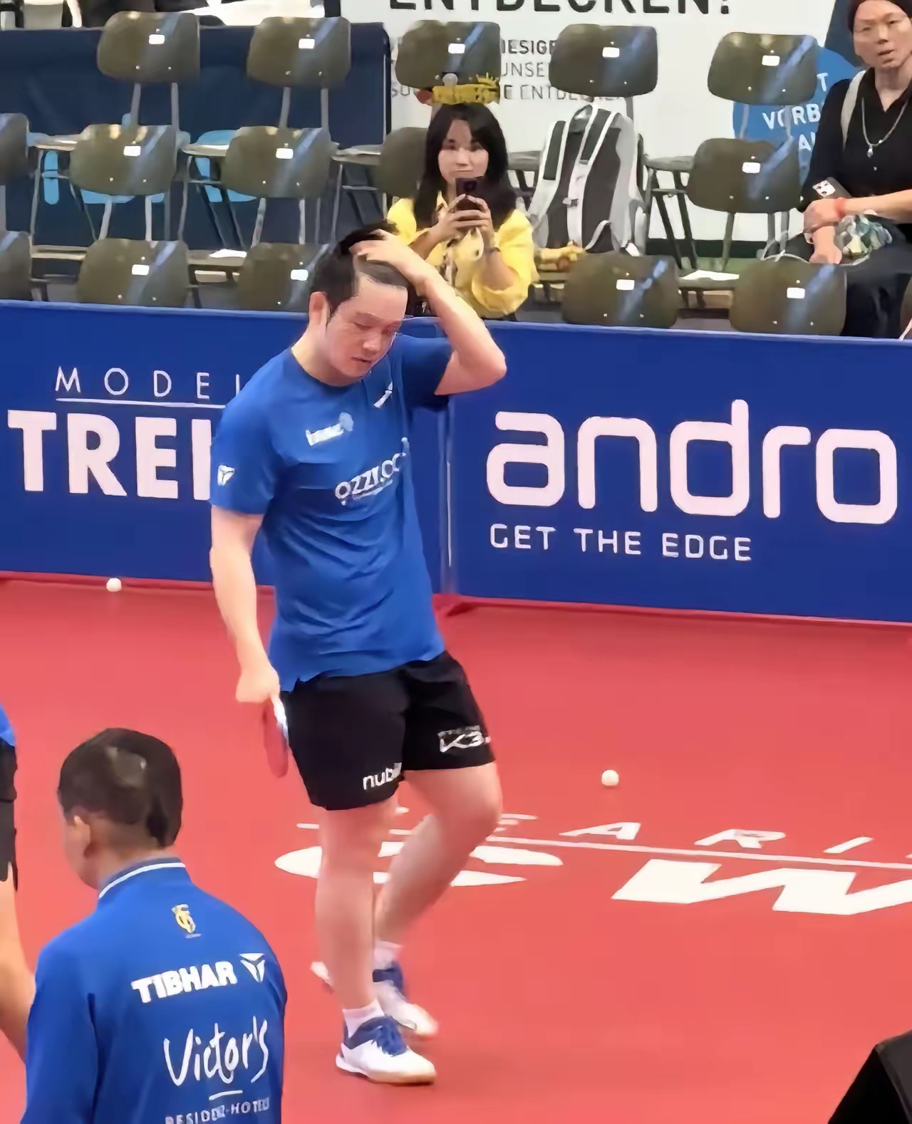 波兰乒乓球队轻取比利时乒乓球队,樊振东爆发神勇的简单介绍 波兰乒乓球队轻取比利时乒乓球队,樊振东爆发神勇的简单介绍