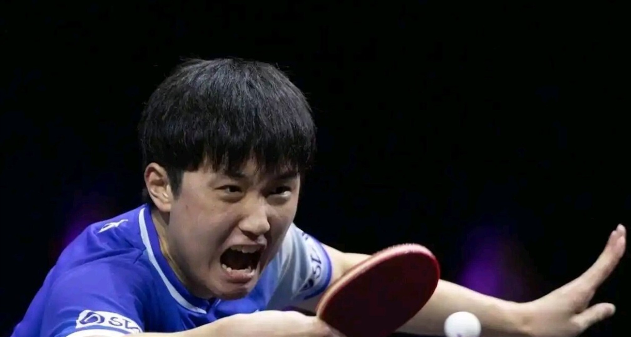 关于葡萄牙队鏖战法国队，张本智和点燃赛场的信息